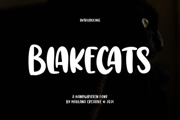 Blakecats: A Bold Display Font for Creative Makers