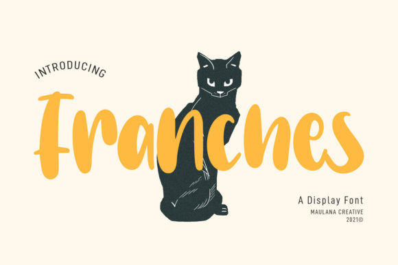 Franches: A Real-World Designer Review