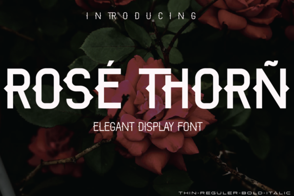 Rose Thorn: A Bold Display Font for Web Design
