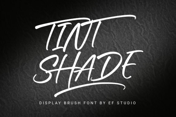 Tint Shade: A Stylish Display Font for Web Designers and Digital Creators